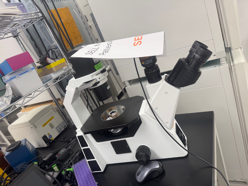 Image of Laxco Eco Inverted Microscope